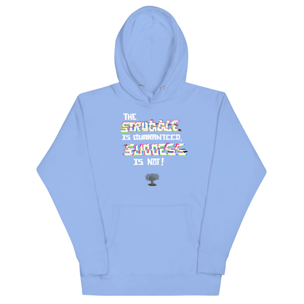 Success Hoodie (premium)