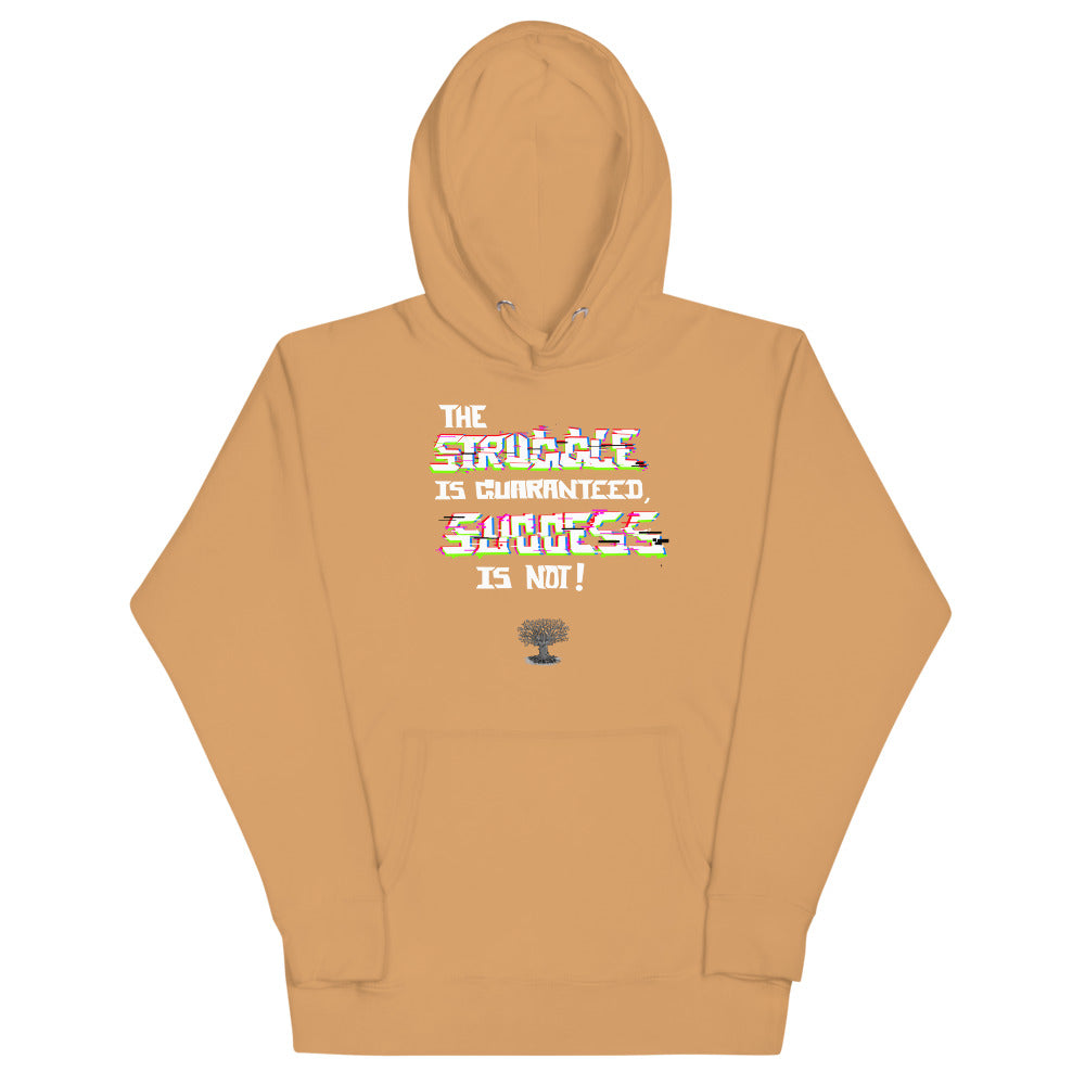 Success Hoodie (premium)