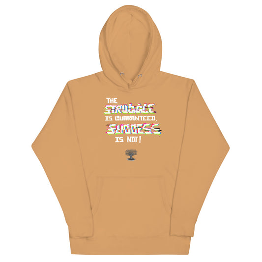 Success Hoodie (premium)