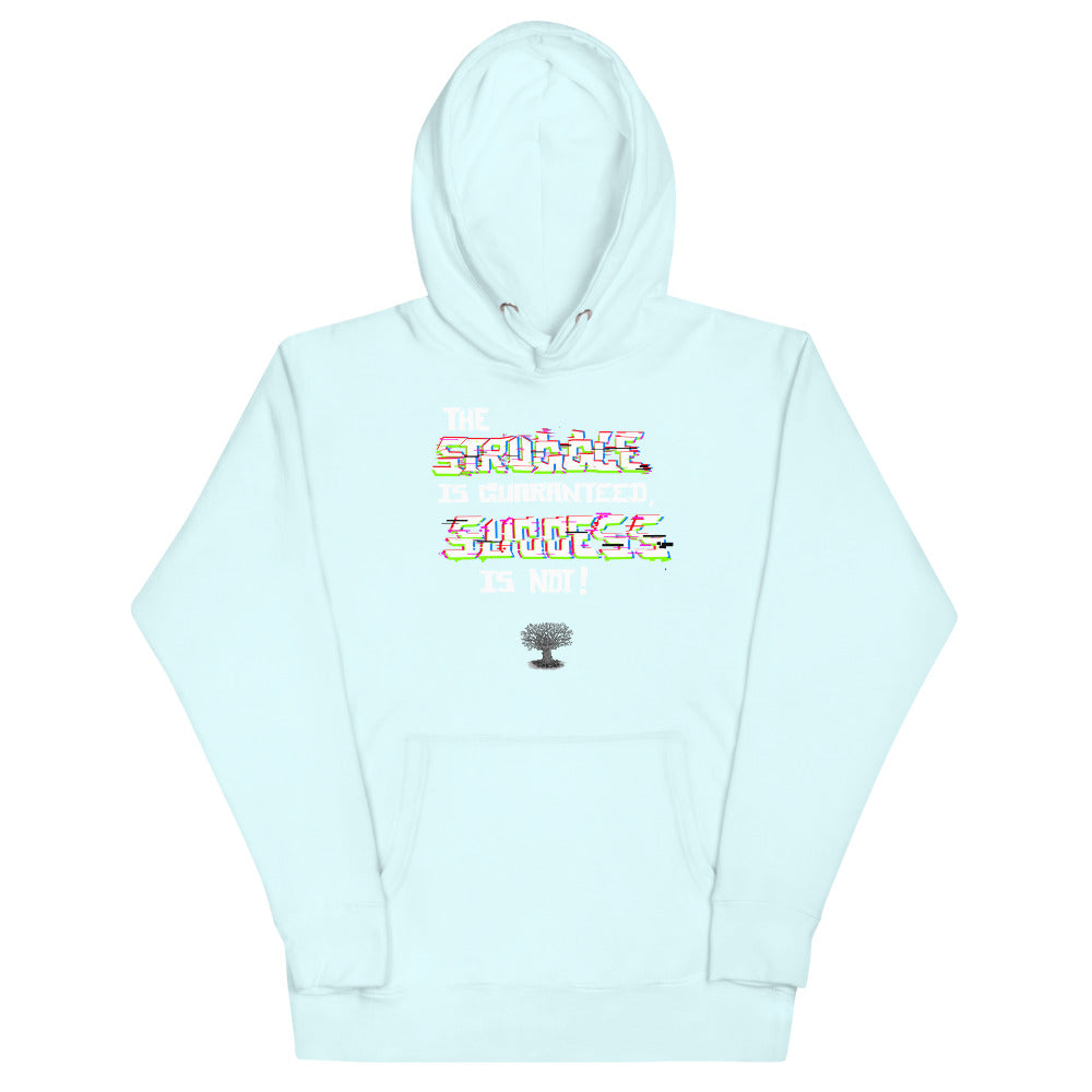 Success Hoodie (premium)